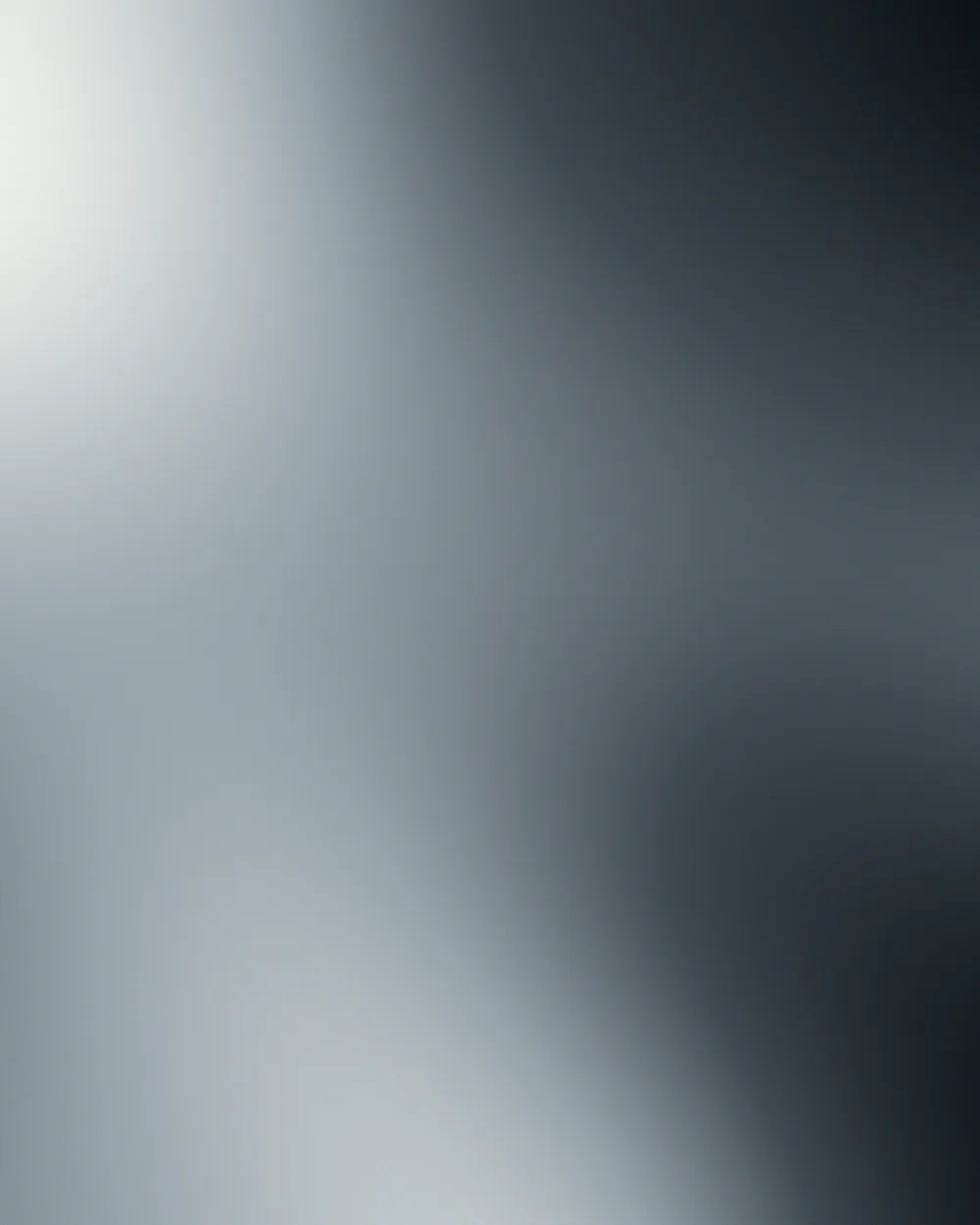 Neutral gradient portrait artwork